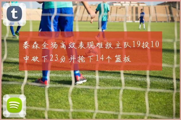 泰森全场高效表现难救主队19投10中砍下23分并抢下14个篮板